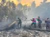 TNI AL BERSAMA TIM SATGAS GABUNGAN PADAMKAN KEBAKARAN HUTAN DAN LAHAN DI KOTAWARINGIN BARAT