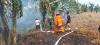 BABINSA KORAMIL 0901-02/SPNG TERJUN PADAMKAN KEBAKARAN LAHAN DI GUNUNG LINGAI
