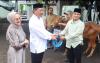 KODAERAL V GELAR SHALAT IDUL ADHA 1447 H DAN PENYERAHAN HEWAN KURBAN