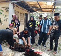 Idul Adha 1447 H, LAN Kota Tangerang Perkuat Kepedulian Sosial dan Kebersamaan Melalui Berqurban