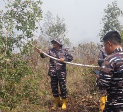 TNI AL DAN TIM GABUNGAN BERUPAYA PADAMKAN KARHUTLA DI BANJARBARU 