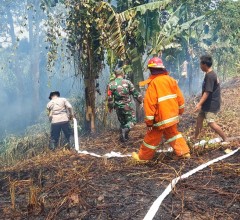 BABINSA KORAMIL 0901-02/SPNG TERJUN PADAMKAN KEBAKARAN LAHAN DI GUNUNG LINGAI