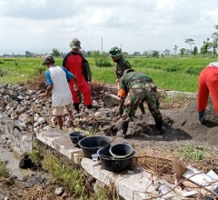 Babinsa Koramil 06/Kebonarum Bantu Warga Bangun Parit Persawahan Di Desa Gondang