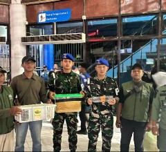 TNI AL GAGALKAN PENYELUNDUPAN SATWA DILINDUNGI DI KM GUNUNG DEMPO, DELAPAN EKOR BURUNG LANGKA DIAMAN