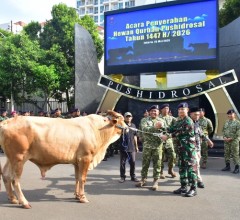 Wadanpushidrosal Serahkan Hewan Qurban Kepada Panitia Qurban Idul Adha 1447 H/2026 M Pushidrosal