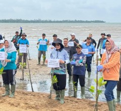 Danlanal Bintan Wakili Dankodaeral IV Hadiri Aksi Penanaman Mangrove Serentak Hari Mangrove Sedunia 