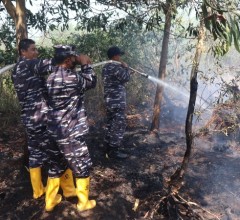 Respons Cepat, Lanal Banjarmasin Bersama Tim Gabungan Lokalisir Karhutla di Guntung Damar
