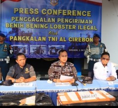 TNI AL GAGALKAN PENYELUNDUPAN 75.435 EKOR BENIH BENING LOBSTER SENILAI MILIARAN RUPIAH