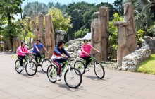 ANCOL HADIRKAN PROGRAM GRATIS MASUK SORE HARI DALAM RANGKA HUT KOTA JAKARTA KE-499