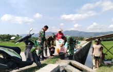 Babinsa Koramil Wedi Dampingi Pemupukan Padi, Perkuat Ketahanan Pangan