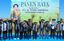 Dandim 0723/Klaten Dampingi Kunjungan Kerja Spesifik Komisi IV DPR RI Pada Panen Raya Di Desa Wonosa
