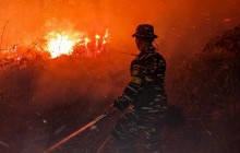 TANGGAP DARURAT KARHUTLA, TNI AL BERSAMA TIM GABUNGAN PADAMKAN KEBAKARAN LAHAN  DI JAMBI