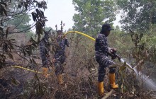 Aksi Cepat Lanal Banjarmasin Padamkan Kebakaran Hutan Gambut di Kabupaten Banjar