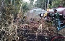 Api Lahap Ladang Kering Di Kemalang Klaten, Babinsa dan Damkar Cegah Kebakaran Meluas