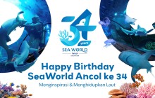 Sea World Ancol Rayakan HUT ke-34 dengan Semangat Menginspirasi dan Menghidupkan Laut