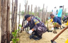Posbinter Lobam Bersinergi Dengan PT. BIIE Tanam Mangrove, Wujud Kepedulian Terhadap Kelestarian Eko