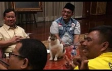 Partai PECI Dorong AHA Aituarauw Perkuat Kabinet Merah Putih 