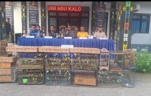 PENYELUNDUPAN RATUSAN BURUNG LOKAL BERHASIL DIGAGALKAN TNI AL DAN APARAT GABUNGAN 