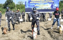TNI AL Gelar Penanaman Bibit Kedelai di Kompi Produksi Lanal Banjarmasin Melalui Operasi Trisila 26,