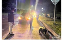 Polres Bekasi Gelar Patroli dalam skala besar cegah kejahatan jalanan