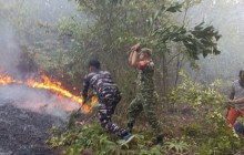 Gerak Cepat TNI AL, Personel Posbinter Pulau Penyengat Lanal Bintan Turun Tangan Padamkan Karhutla C
