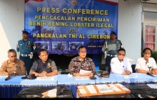 TNI AL GAGALKAN PENYELUNDUPAN 75.435 EKOR BENIH BENING LOBSTER SENILAI MILIARAN RUPIAH