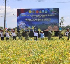 DUKUNG KETAHANAN PANGAN NASIONAL, TNI AL GELAR PANEN RAYA KEDELAI DI KABUPATEN NGANJUK 