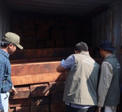 KODAERAL V BERHASIL MENGGAGALKAN DUGAAN ILLEGAL LOGGING DARI PAPUA Rp 5,5 MILIAR 